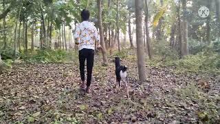 Amazing man meets first time with his goat us nimal !!#goat video # goat vs man