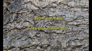 Долгополюк Татьяна Ивановна. Стихотворение "Русь". Формат книги.