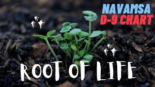 Navamsa Chart in Vedic Astrology - D-9 Chart, Marriage, Vargottama Planets, 4th House, Scorpio