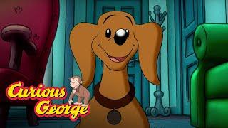 Weiner Dog  Curious George Kids Cartoon  Kids Movies Videos for Kids