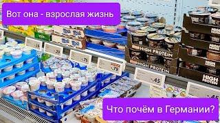 Продуктовые магазины в Германии: актуальные цены и ассортимент (осень 2024)