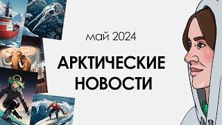 полтора года экспедиции, углерод на дне океана и серфинг в Арктике / #5