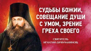 12 Судьбы Божии, Совещание души с умом, Зрение греха своего  — Аскетические опыты Т2 — Брянчанинов