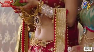 poonam kaur beautiful navel hot sexy navel show