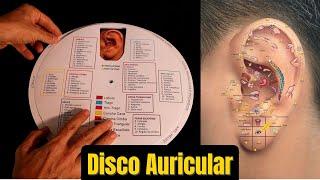 Mapa Disco Auricular - Thiago Nishida - Mapa Auricular