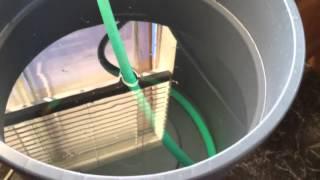 Water changes - like a boss