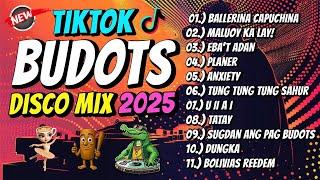TIKTOK BUDOTS 2025 - DJ JOHNREY DISCO MIX