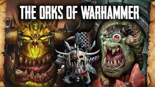 The Orks of Warhammer Fantasy and Warhammer 40k - Lore Overview