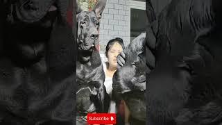 This dog is creating the new generation 774