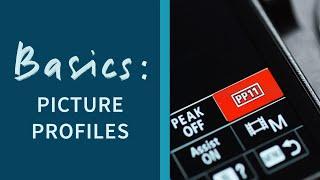 Picture Profiles Explained on Sony Cameras! PP1 to PP11 - Basics Episode 4