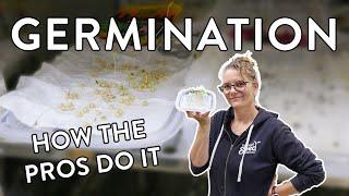 Unlocking Germination Secrets: How Our Chambers Ensure Seed Success!