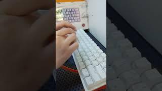 Razer Huntsman Mini RZ03 03392200 R3R1 test sound #shorts  #dns  #keyboard  #asmr  #razer