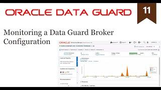 Monitoring a Data Guard Broker Configuration (11/19)