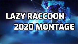 Lazy Raccoon 2020 Montage