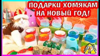 Вынесла весь ЗООМАГАЗИН / подарки ХОМЯКАМ к НОВОМУ ГОДУ / Alisa Easy Pets