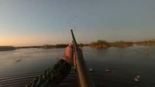 Insanely Fast limits of ducks in florida