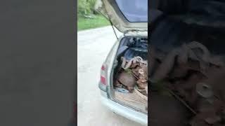 #металокоп #quest Кто ищет,тот всегда найдёт.