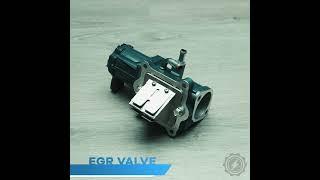 Let's Talk EGR Valves!