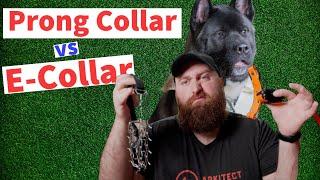 Are Prong Collars and E-Collars Dangerous? | Which is RIGHT for your AKITA | The Akita Life