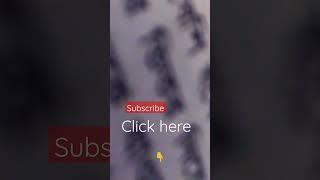 funny subscribe video - Md. Samir official