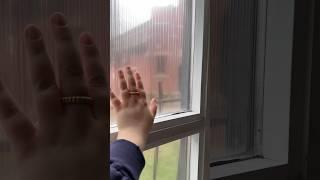 DIY fluted glass window film 🪟 #diy #windowfilm #studio
