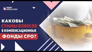 О компенсационном фонде возмещения вреда СРО всего за 1 минуту | Какова сумма взносов в эти фонды?