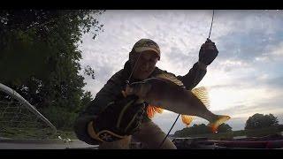 Predator fishing diary #4 Summer Holiday 2015