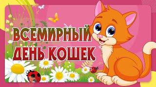 С Днем Кошек! Поздравление День Кошек! 8 августа Всемирный день кошек . С Днем кота!