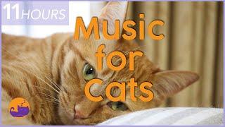 Separation Anxiety Music for Cats | Soothing Lullaby Mix | 11 HOURS