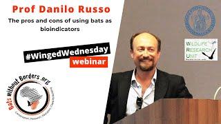 18 - #WingedWednesday webinar with Professor Danilo Russo