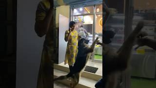 Day 2 In My BakeryBusy Day ⁉️|#youtubeshorts #shortvideo #shorts #srijuu