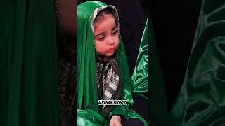 Rehwar Ke Sumon Me Hai Payari Hussain A.S Ki #nohay #nohas #bibisakina