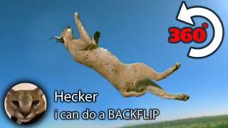 When Hecker Does the Impossible...