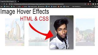 how to image hover effect in html and css 2021 | Programmer Shipon