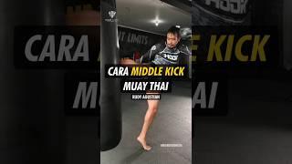 Cara Middle Kick Muay Thai by Rudy Golden Boy. - Hook Fight Gear