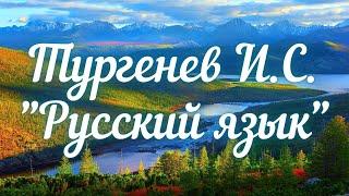 Тургенев И.С. Русский язык (Во дни сомнений...)