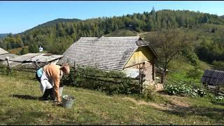 Жизнь на краю. Выживание и жизнь вдали от современного мира