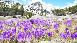 Bulgarian Mountains HD