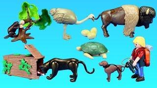 Playmobil Wildlife Animals Figures and Building Toy Sets For Kids