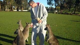 Shae McNamara Candid with the Kangaroos