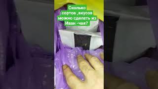 Иван-чай из Самары уезжает в Израиль.Импортзамешение #shortvideo #иванчай #кипрей