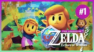 The Legend of Zelda Echoes of Wisdom Part 1 | Gameplay Walkthrough COMPLETE Playthrough | Full Game