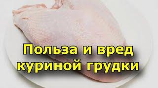 Польза и вред куриной грудки. Белое мясо