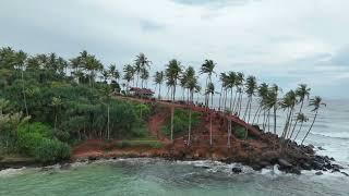 Sri Lanka Mirissa Coconut Tree Hill