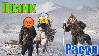  Расул звонит в Якутию | Пранк  | Расул на связи | Рамис #drongogo