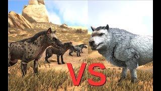 Hyaenodons vs Direwolf (and some other dinosaurs) || ARK: Survival Evolved