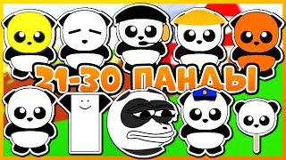  21 - 30 ПАНДЫ в FIND THE PANDAS  | РОБЛОКС | #ROBLOX