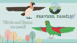 Feather Family | Birds & Items we need!