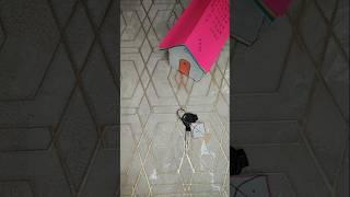 Diy kite key chain #happylohri @craftersujal  #like