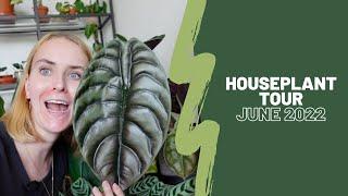 (Pre-move) houseplant tour! | June 2022